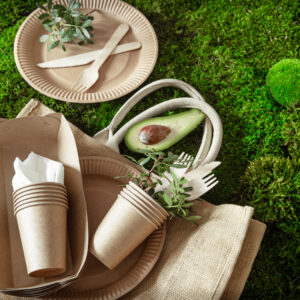 biodegradable-packaging-for-food