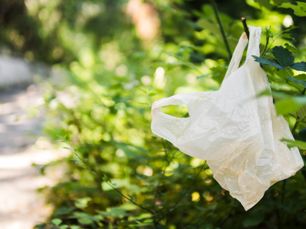 plastic-bag--enviromental-impact