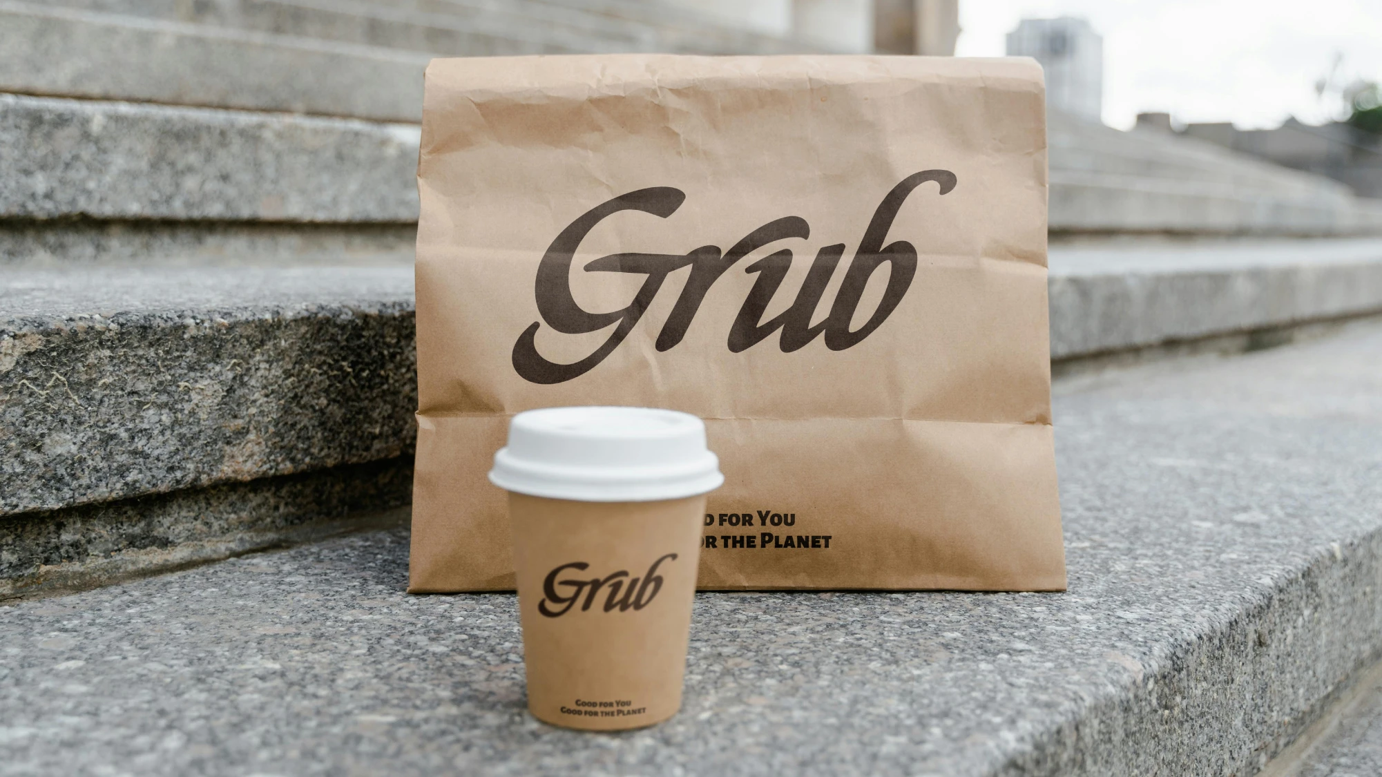 Best Biodegradable Materials for Food Packaging